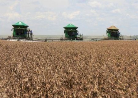 Aral Moreira figura entre as 100 maiores produtoras do agronegócio brasileiro do país