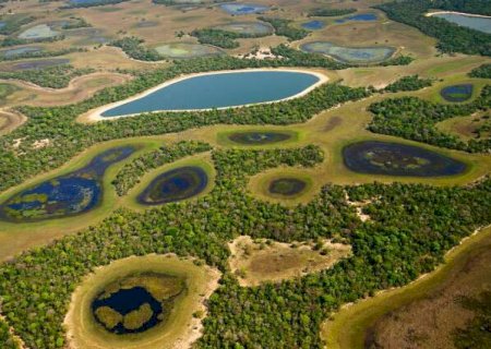 Estado habilita 11 entidades para gestão do Fundo Pantanal